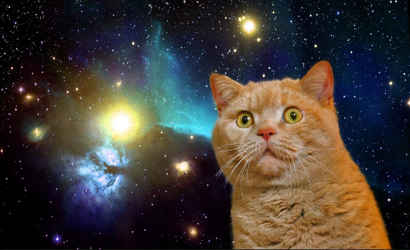 Illustration for article titled My God, It's Full Of Cats! The Very Best Artwork Of Cats In Space